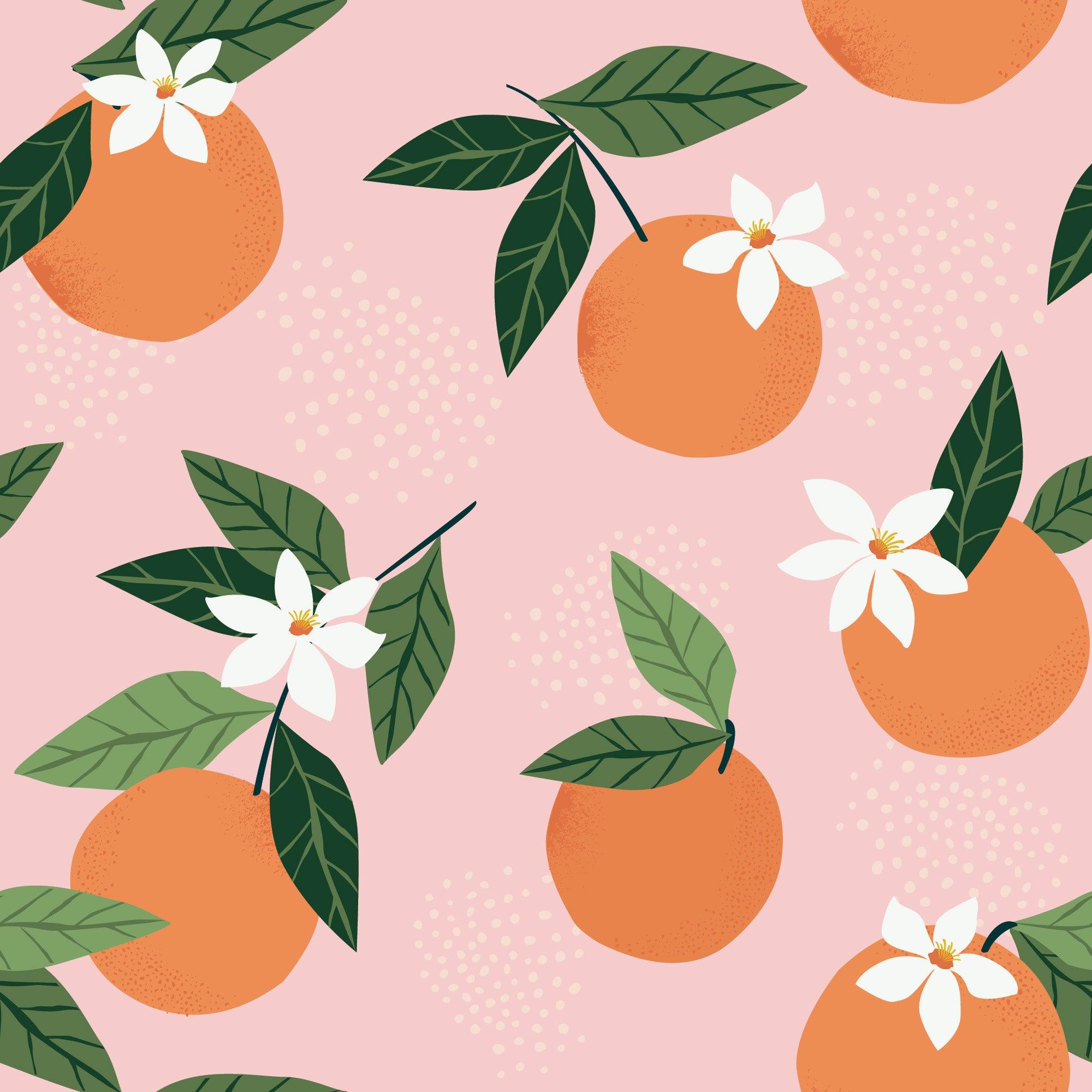 papier peint motifs clementines 
