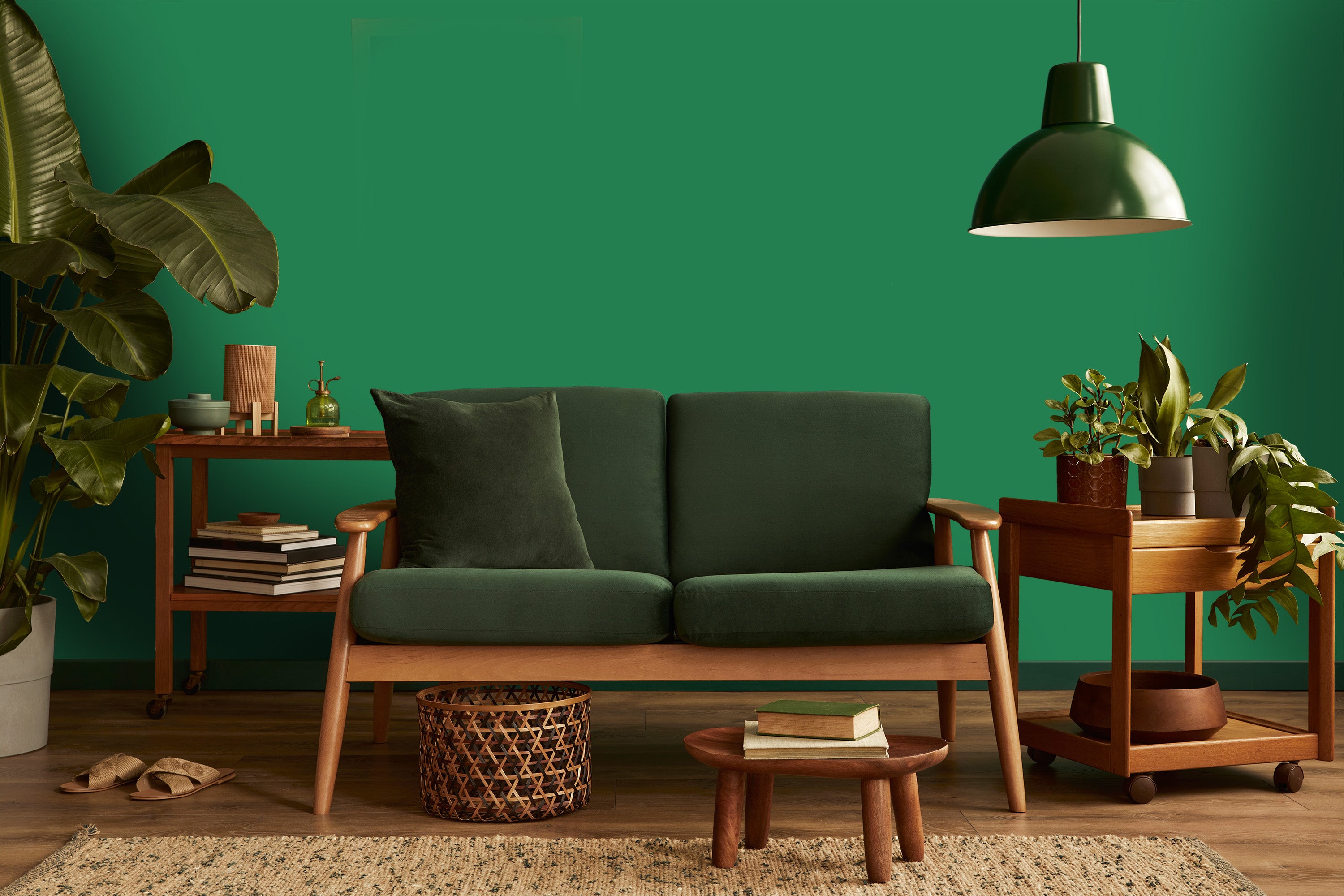 salon vert et bois
