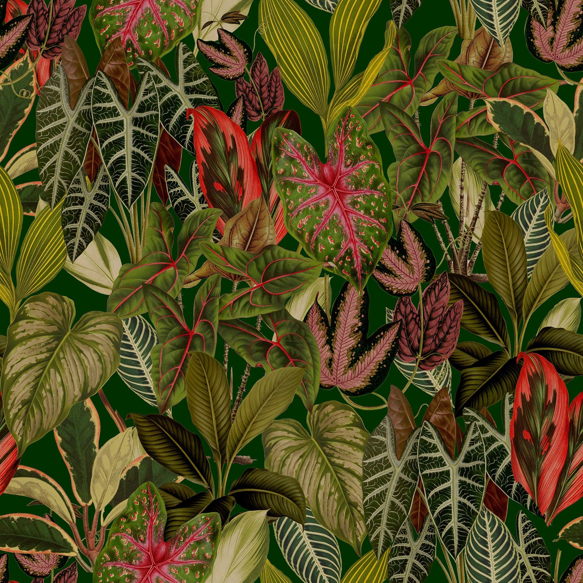 papier peint motifs feuilles tropicales