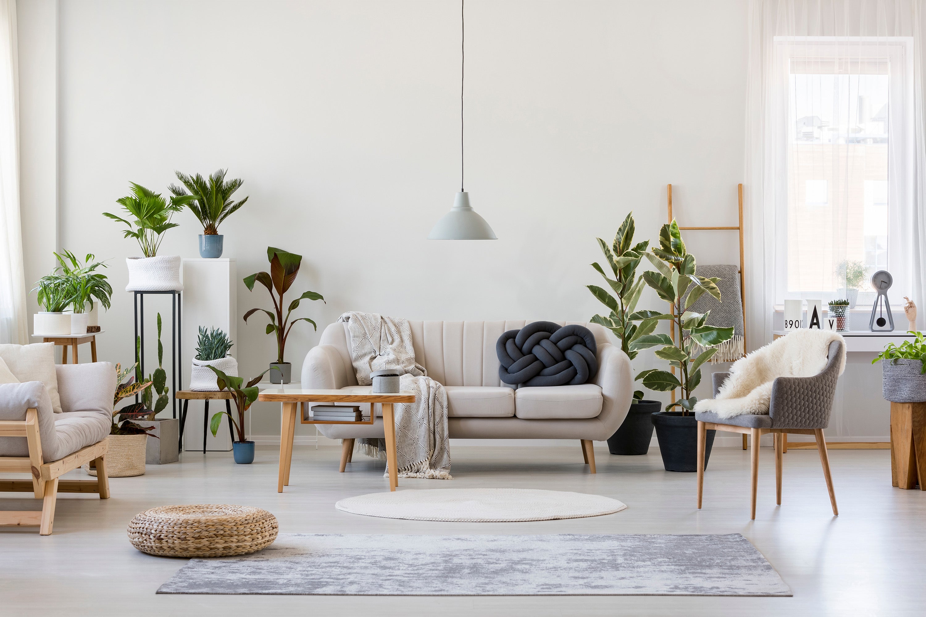 salon beige gris plantes