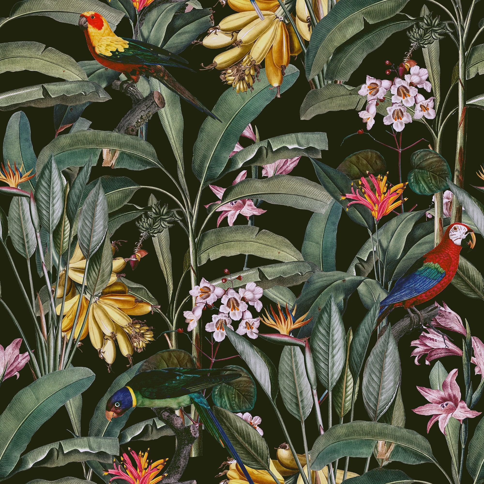 papier peint motifs perroquets feuilles tropicales
