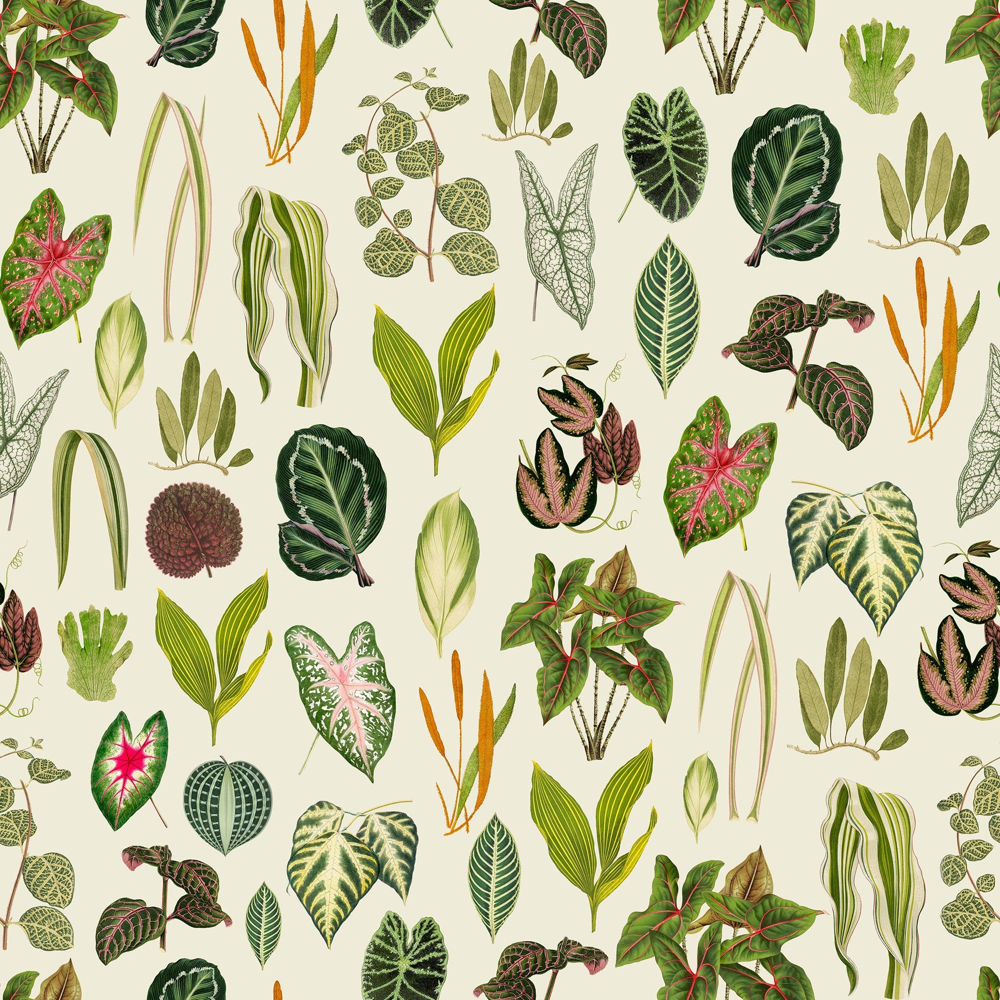 papier peint motifs feuilles et plantes vertes