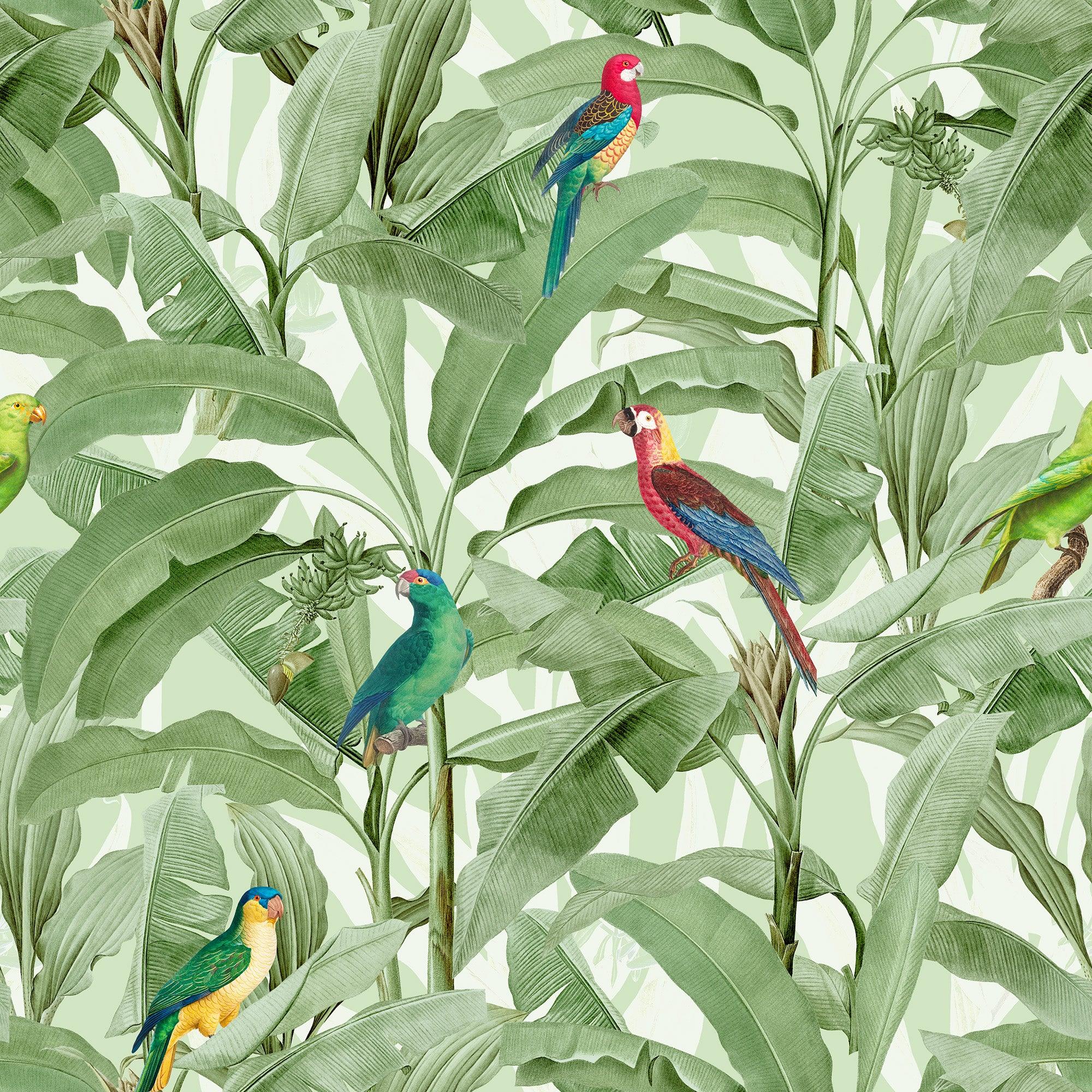 papier peint motifs perroquets et feuilles
