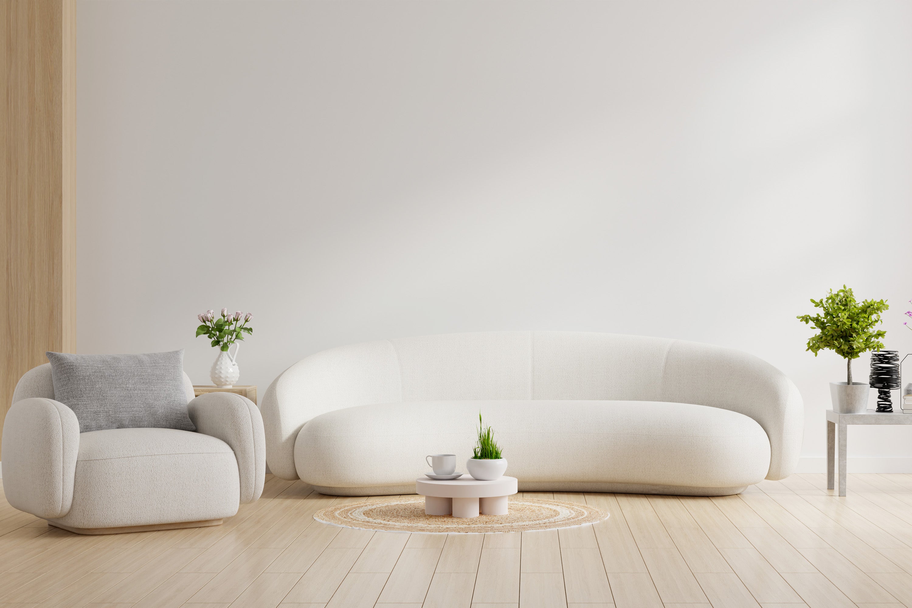 salon canapé blanc