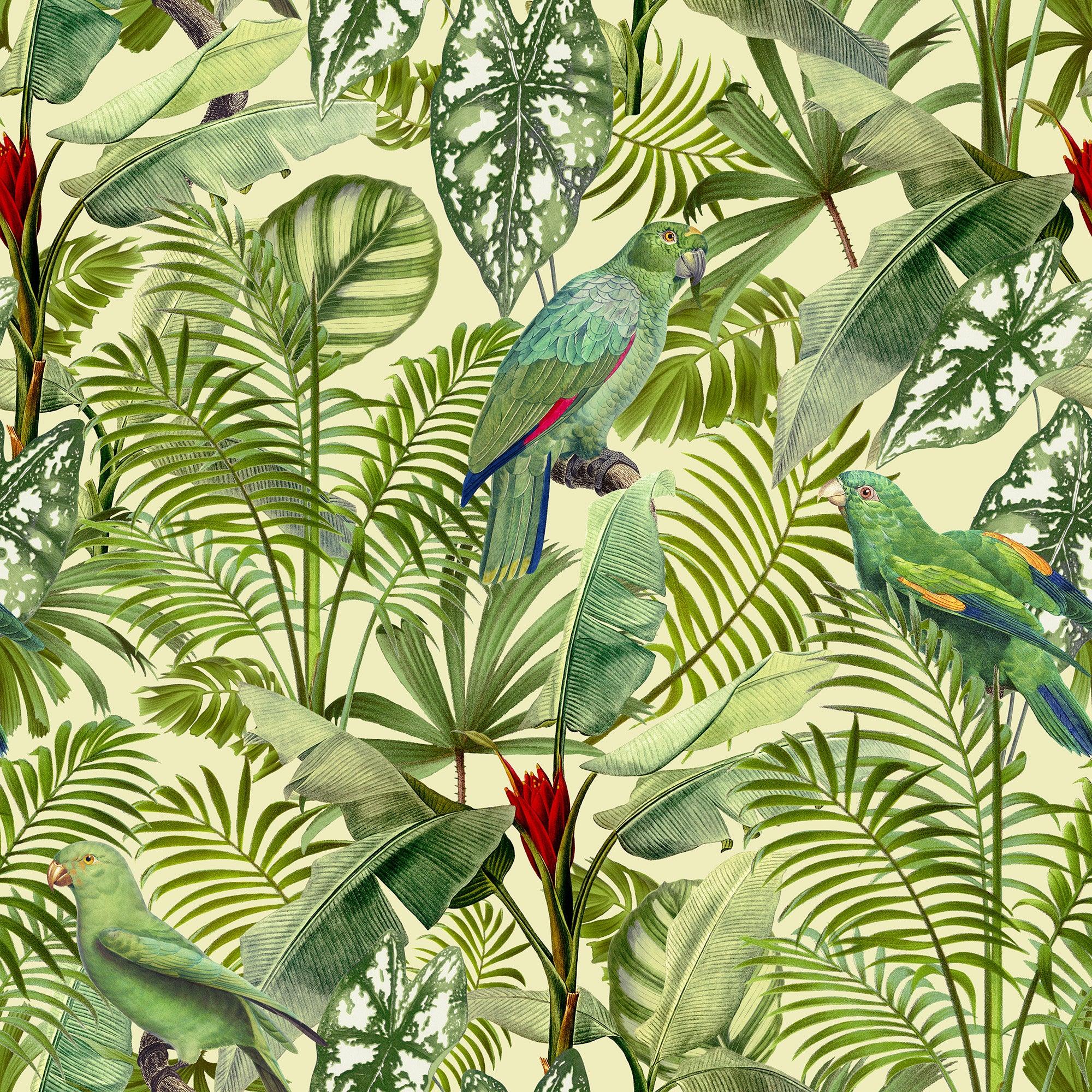 papier peint motifs perroquets et feuilles tropicales