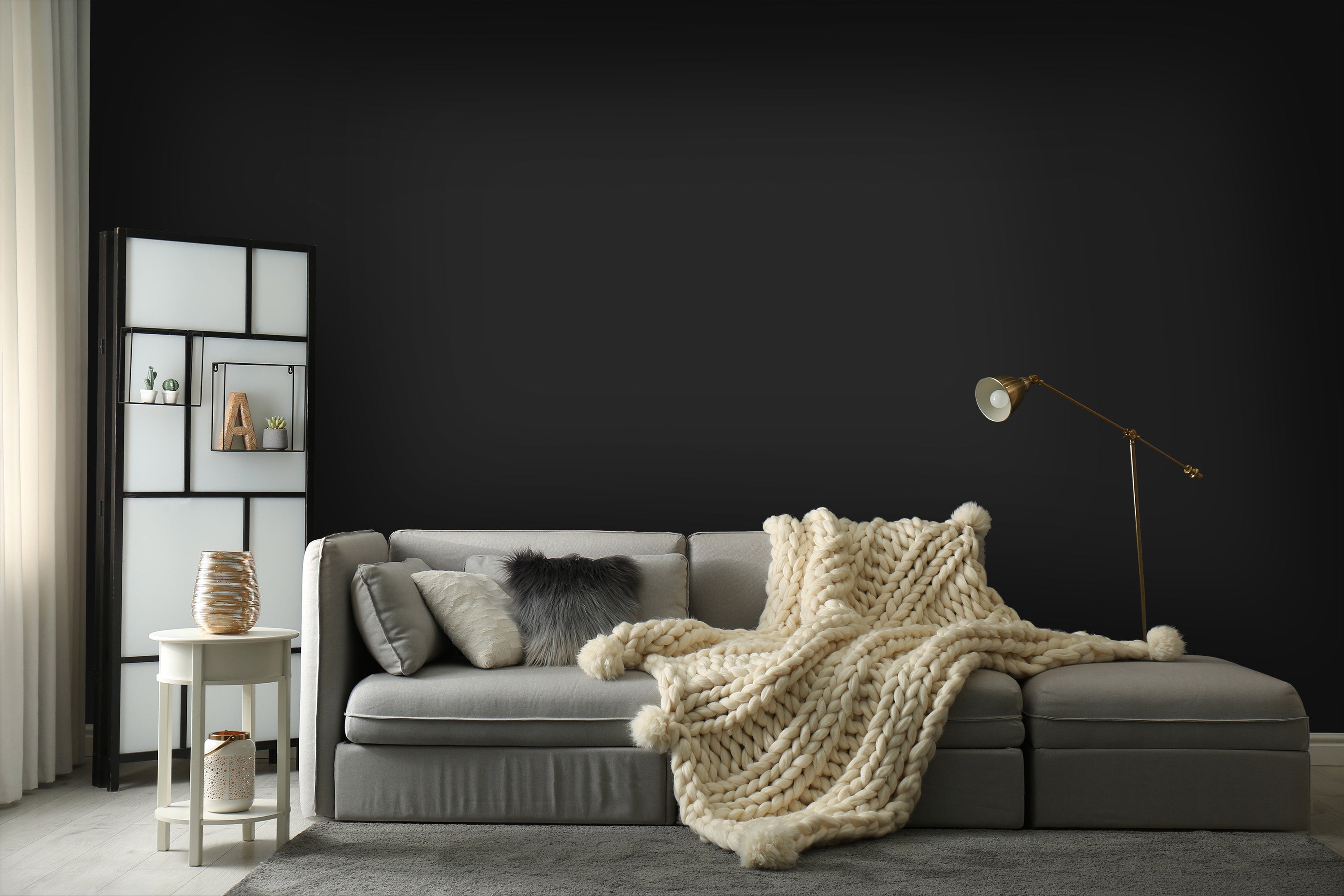 salon gris et noir