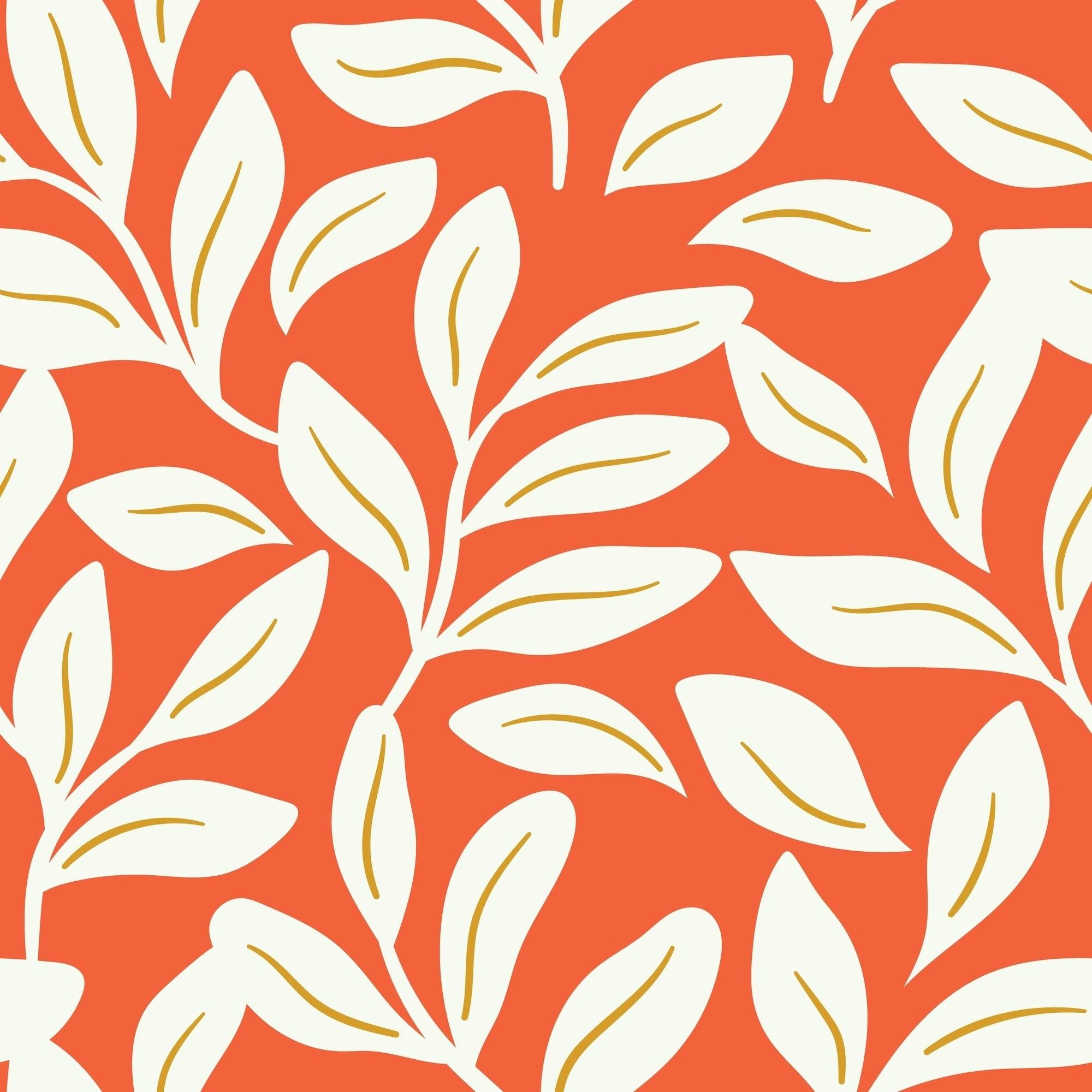 papier cadeau floral orange et blanc Nelsia