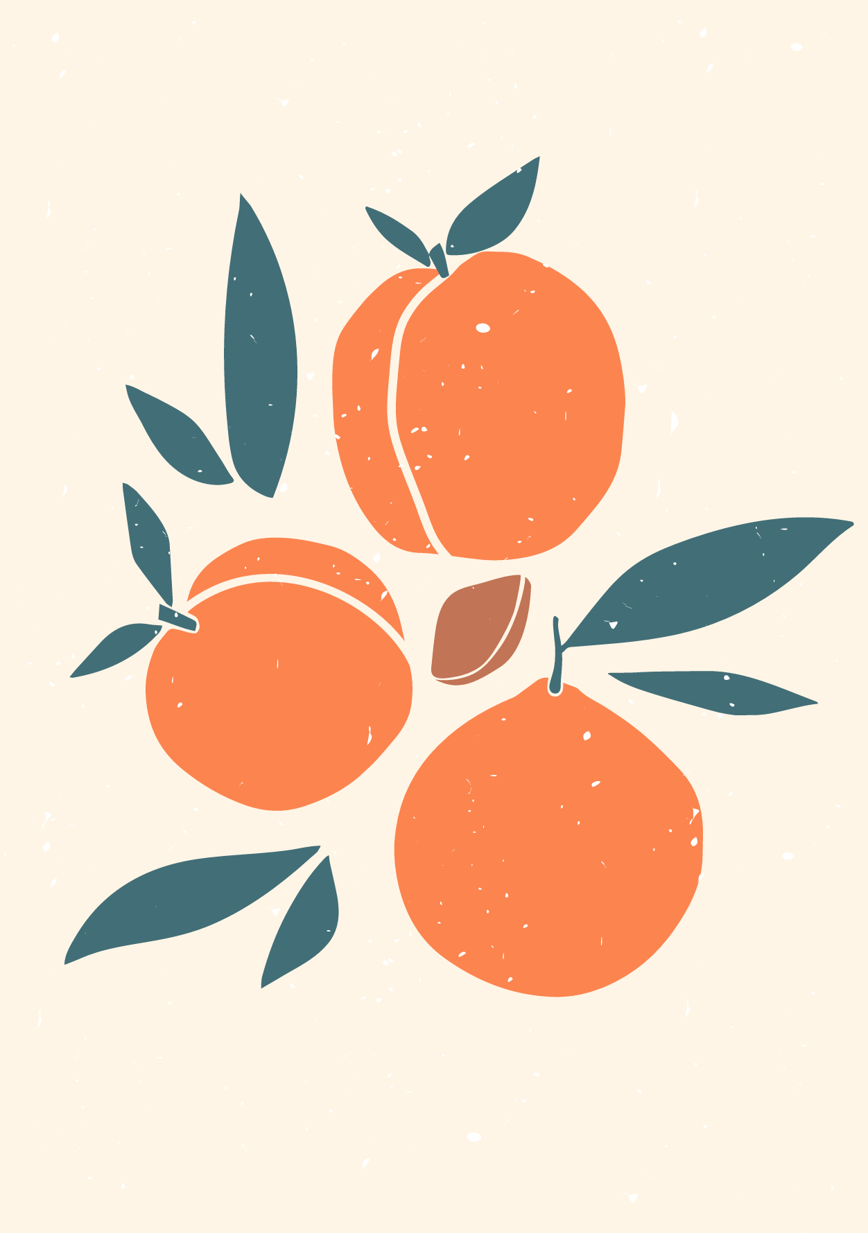 Affiche abricots